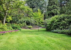 Optimiser l'expérience du jardin à Tincry